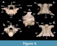 s figure4