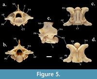 s figure5