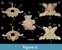 s figure6