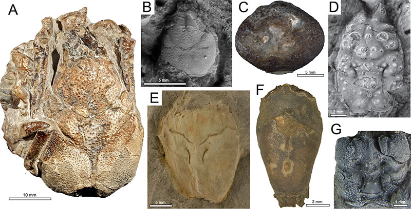 figure2