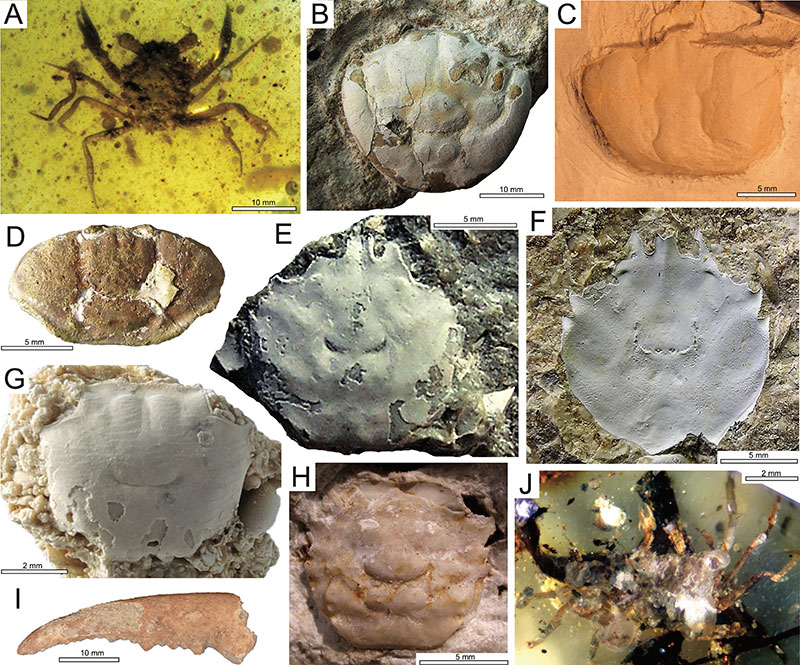 figure3