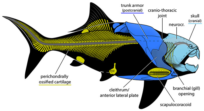 figure1