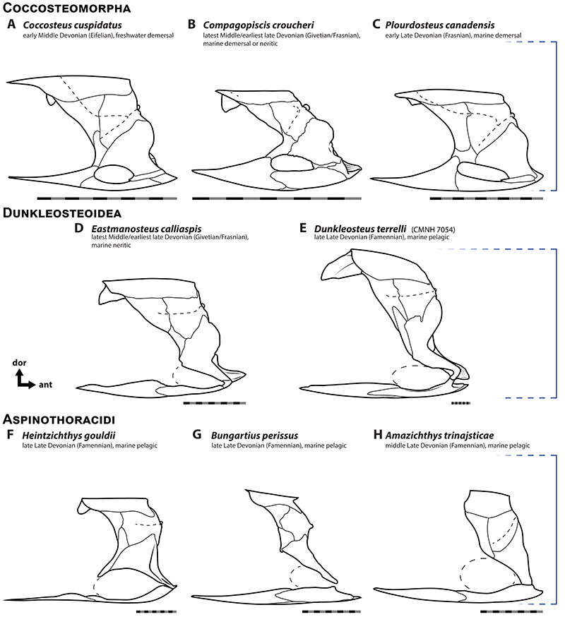 figure10