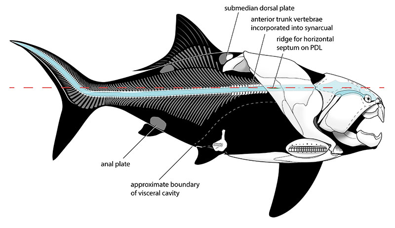 figure14