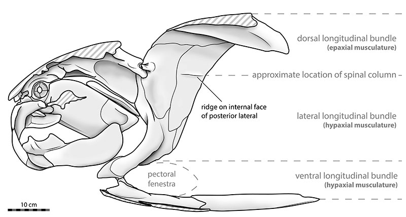 figure15