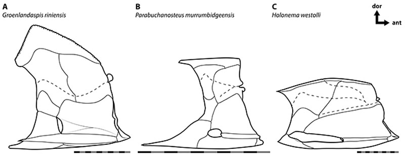 figure16