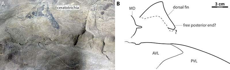 figure18