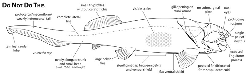 figure2