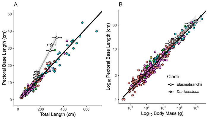 figure20