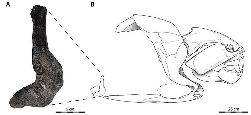 figure21