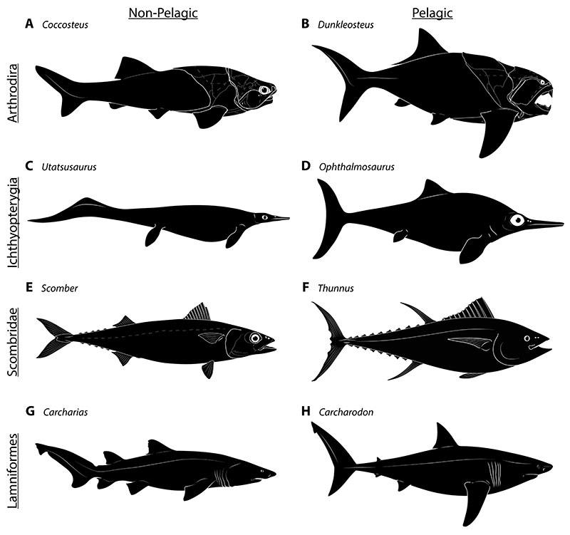 figure22