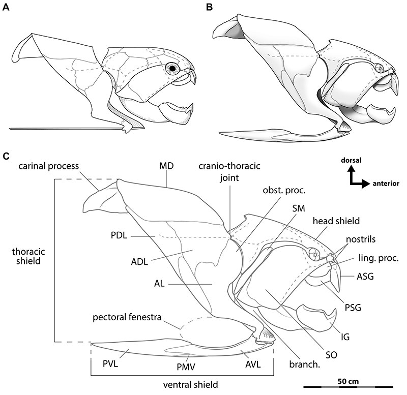 figure3