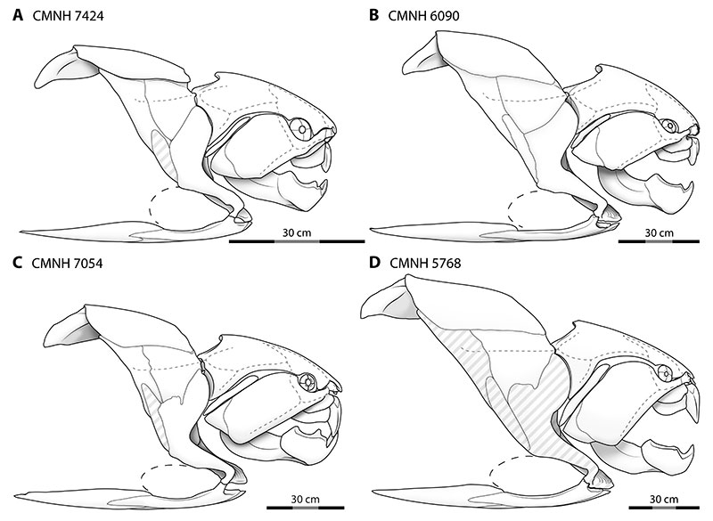 figure5