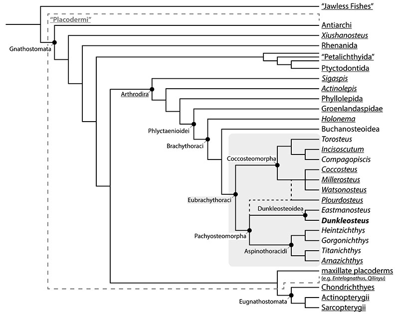 figure6