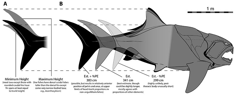 figure9