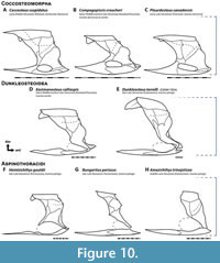 s figure10