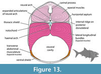 s figure13