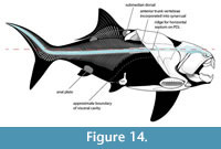 s figure14