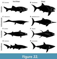 s figure22