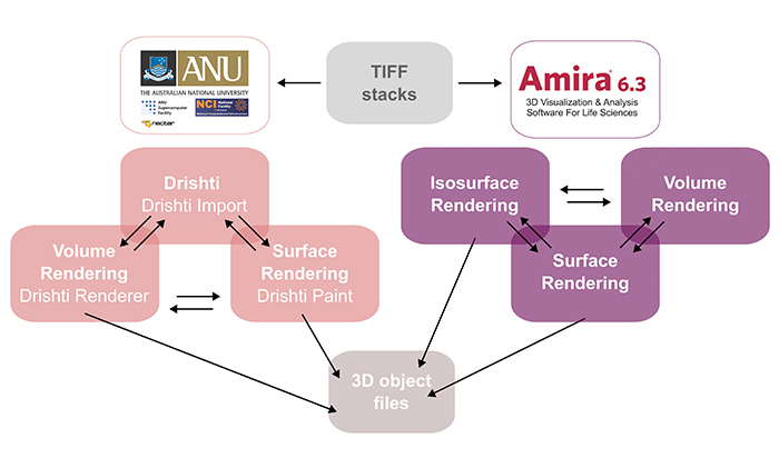 figure1