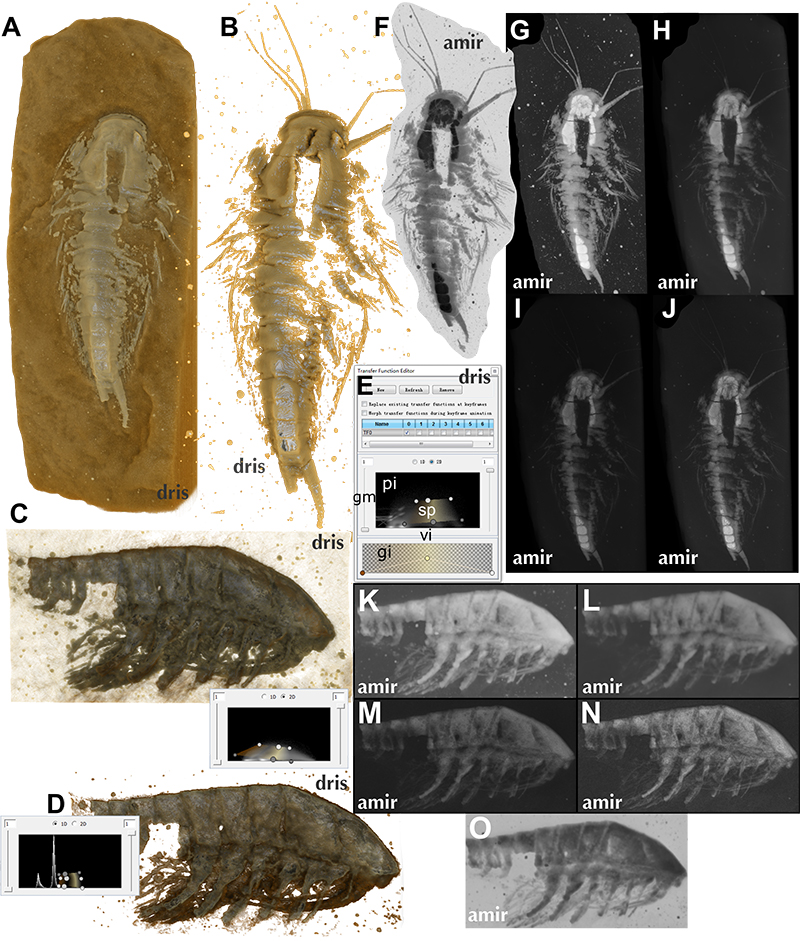 figure2