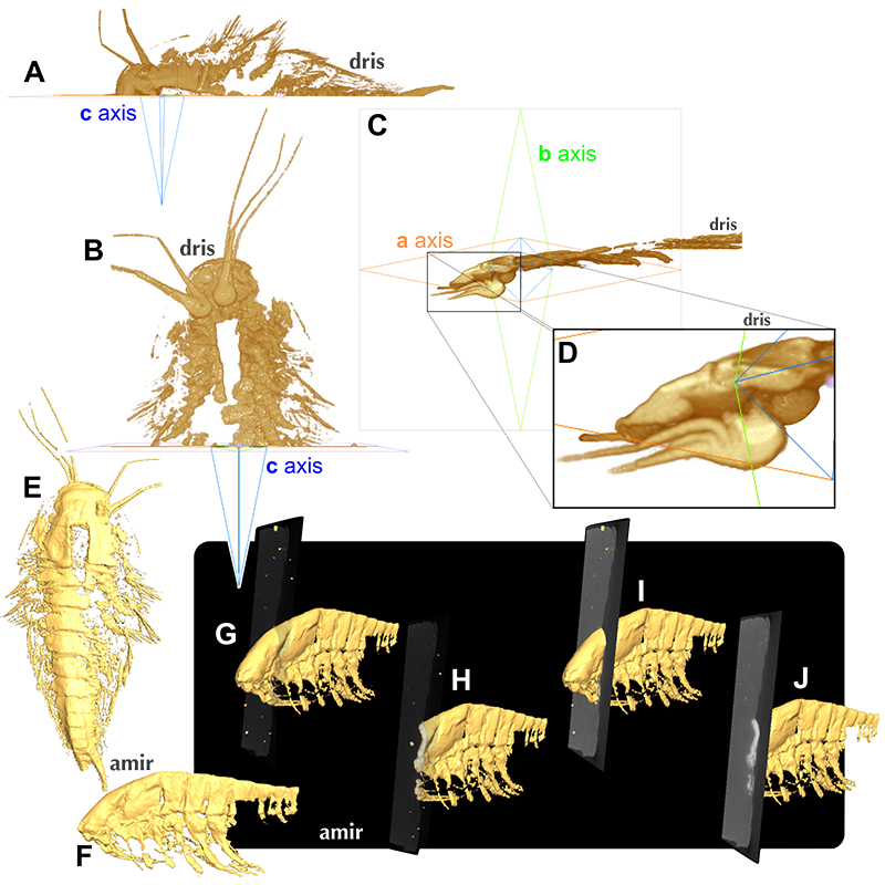 figure3