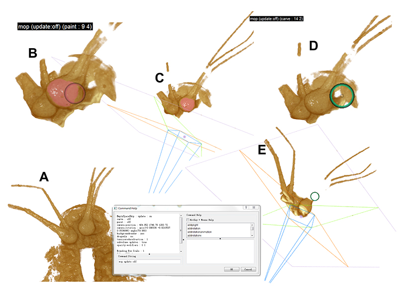 figure4