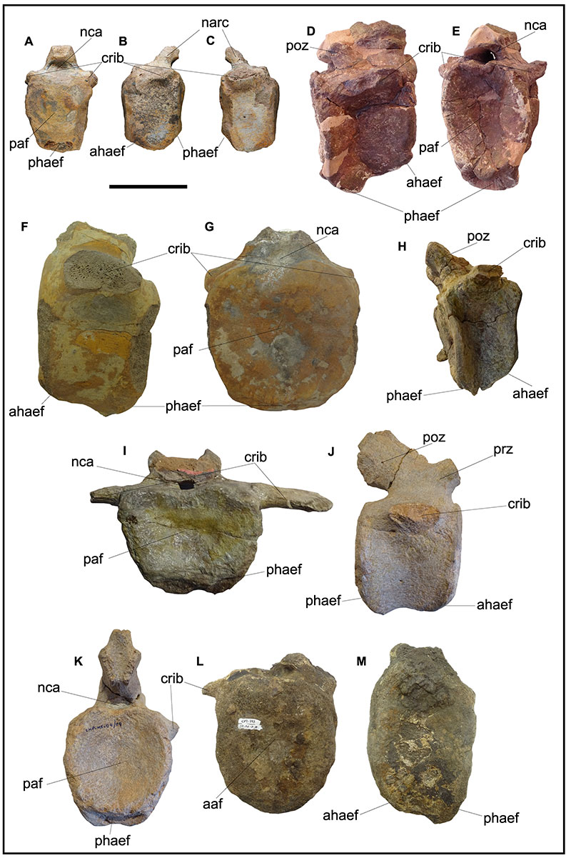 figure10