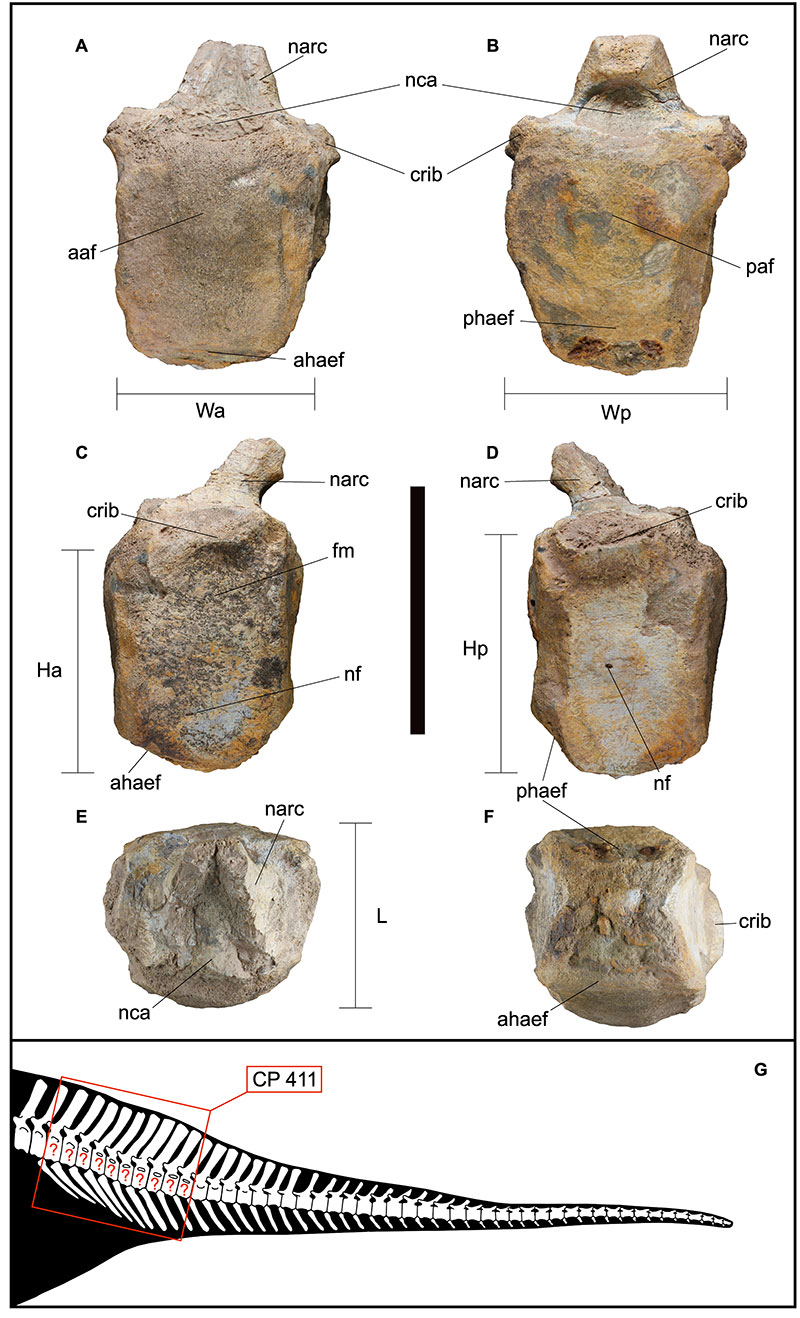 figure3