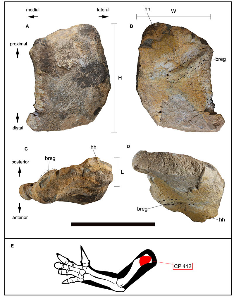 figure4