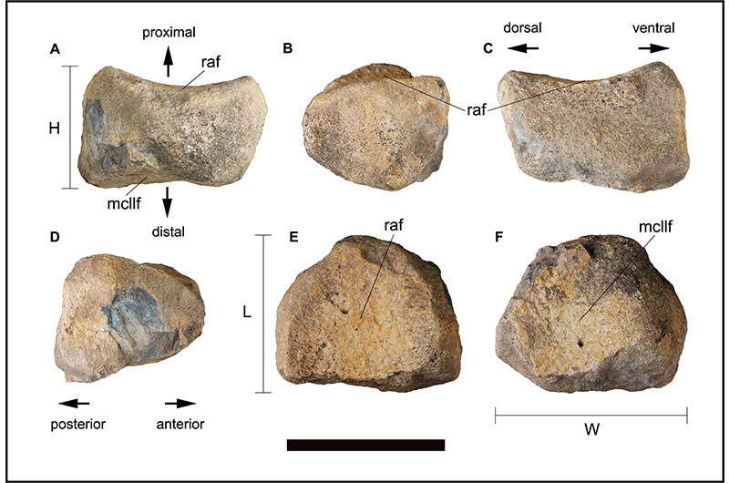 figure5