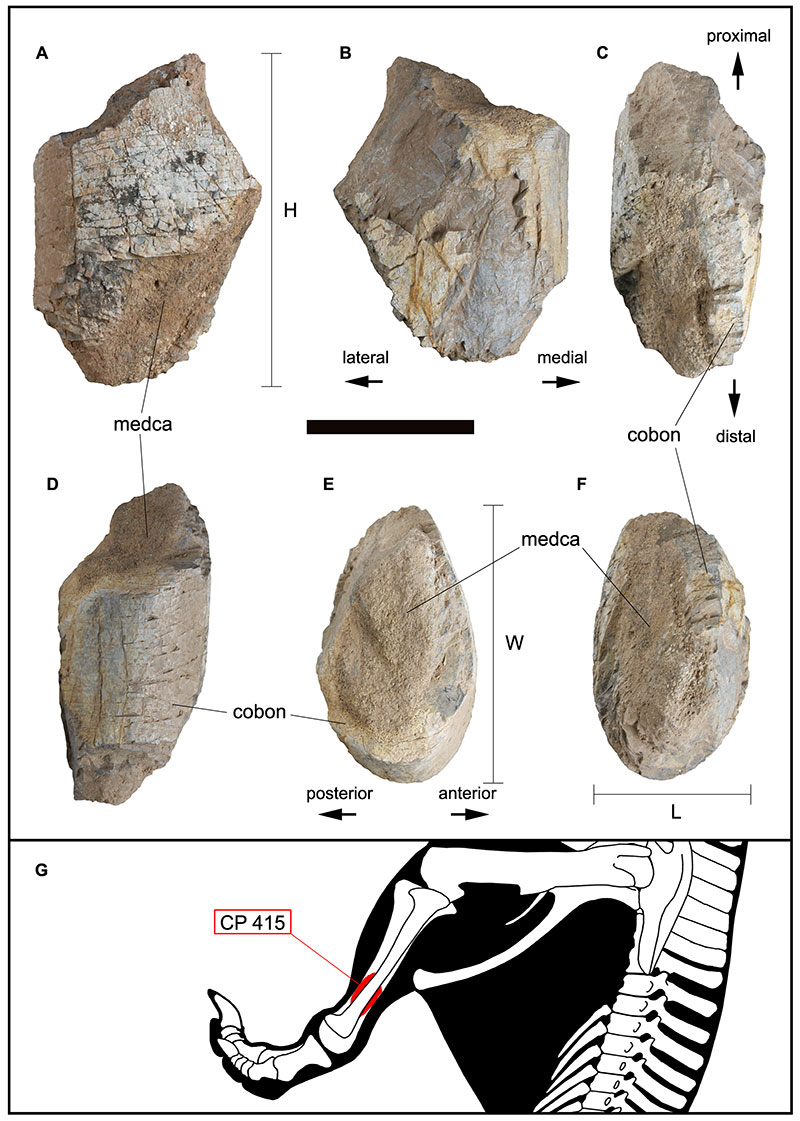 figure6