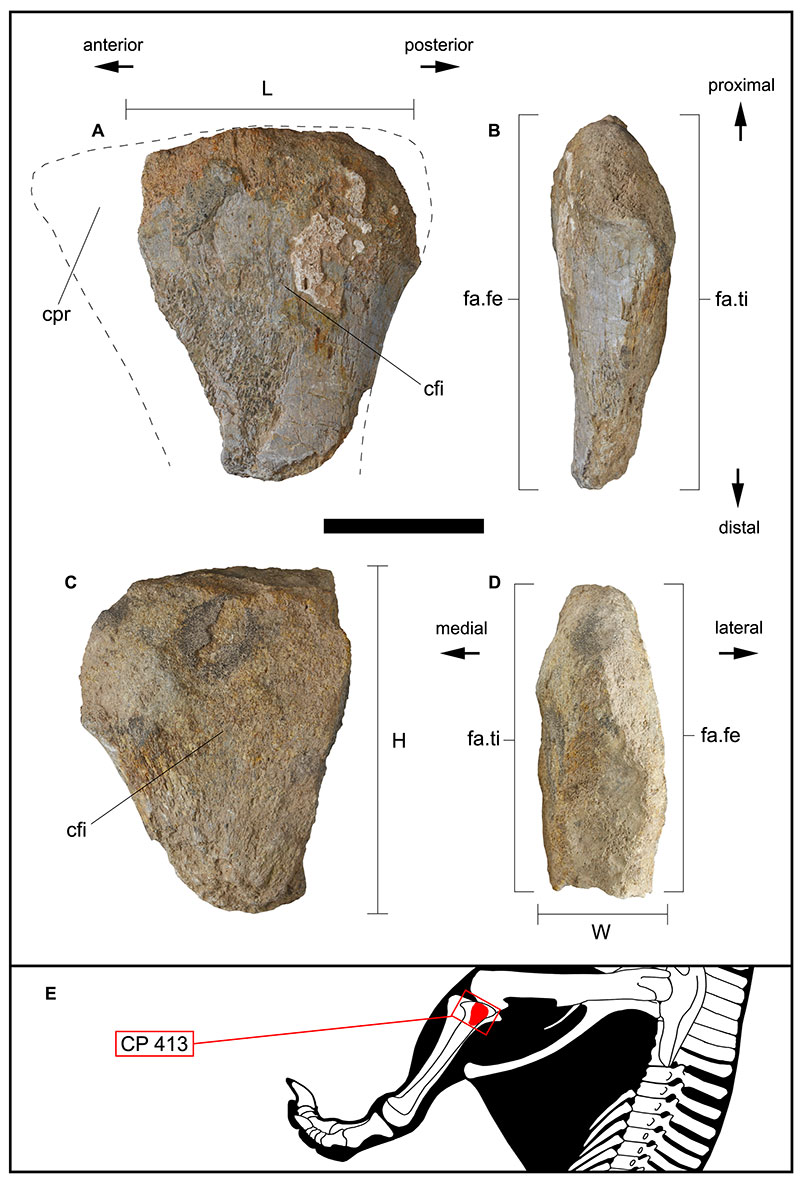 figure7