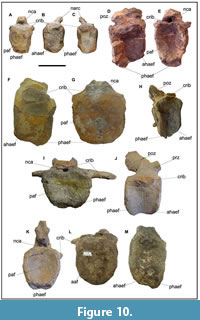 s figure10
