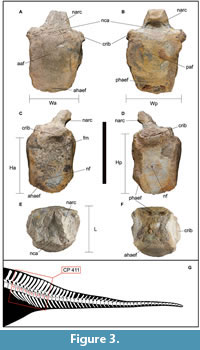 s figure3