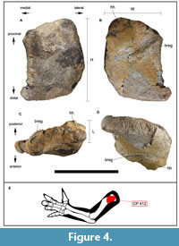 s figure4