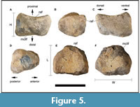 s figure5