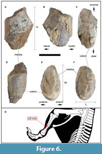 s figure6