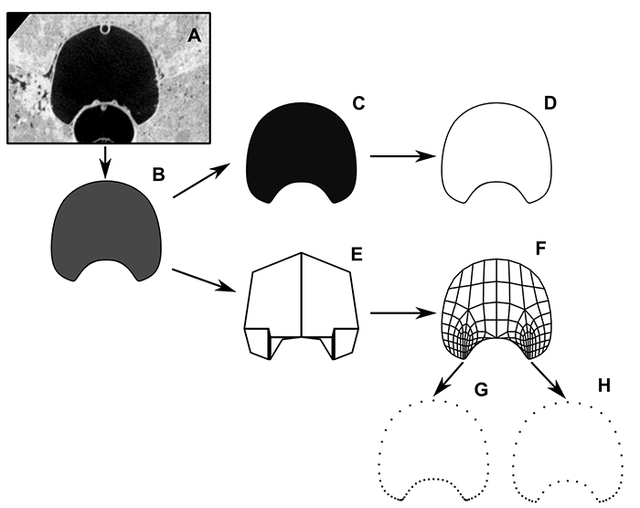 figure1