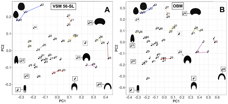 figure5