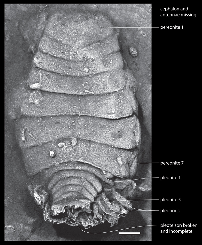 figure3