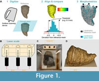 s figure1