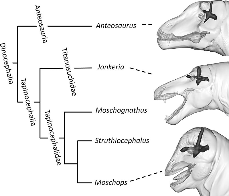 figure1