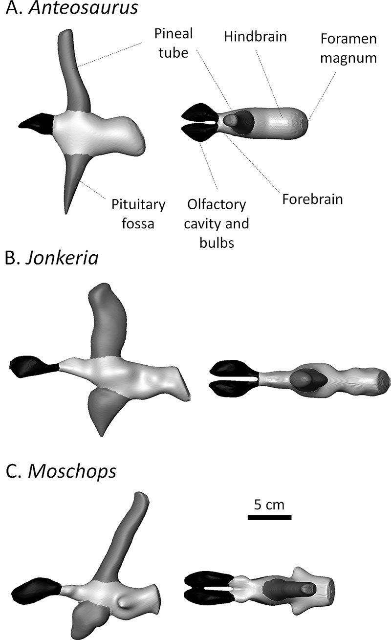 figure3