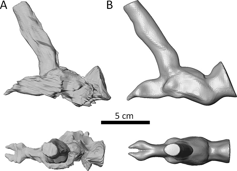 figure4