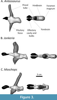 s figure3