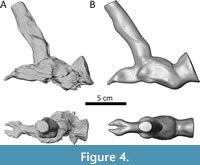 s figure4