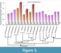 s figure5