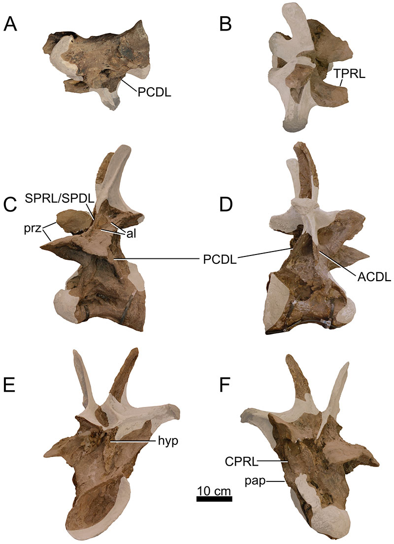 figure10