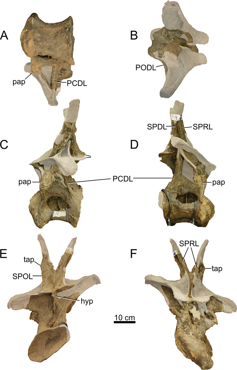 figure11